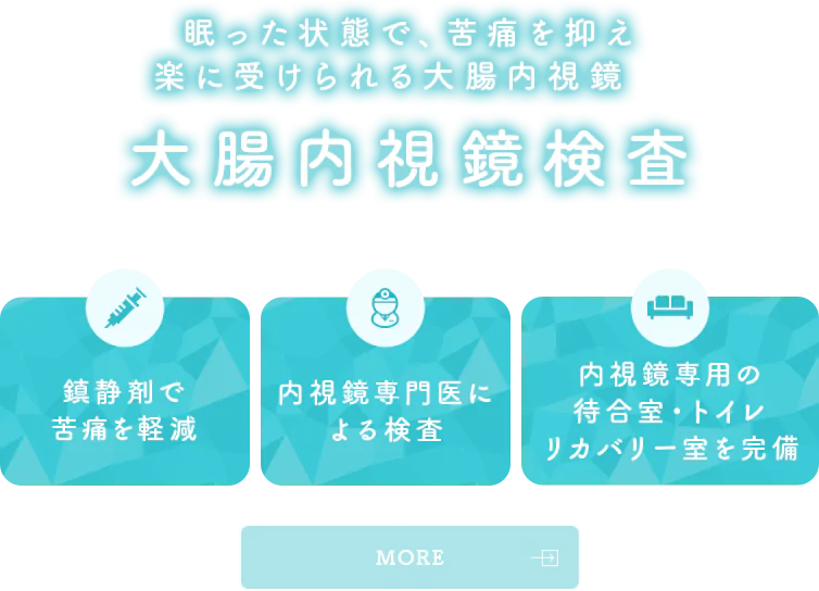 眠った状態で、苦痛を抑え楽に受けられる大腸内視鏡 大腸内視鏡