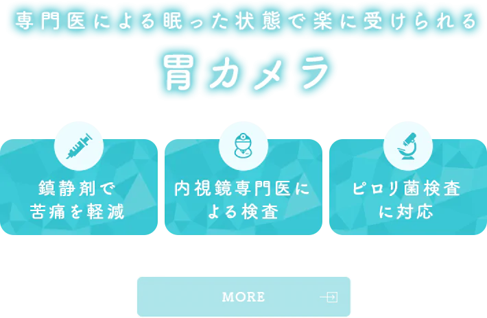 専門医による眠った状態で楽に受けられる 胃カメラ