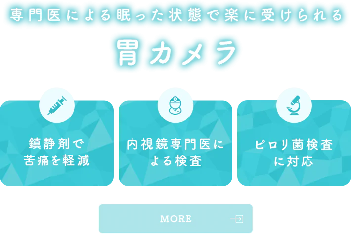 専門医による眠った状態で楽に受けられる 胃カメラ